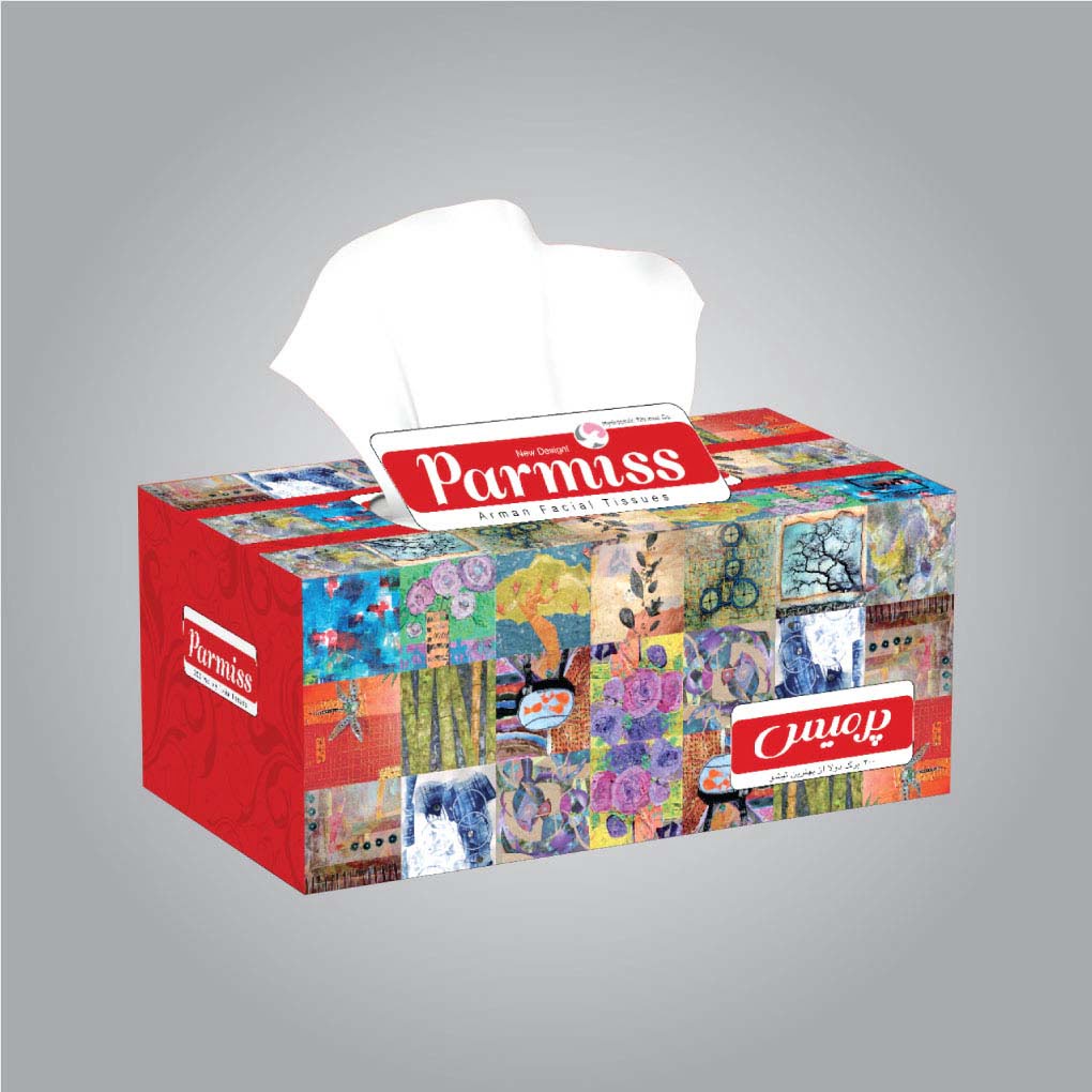 Parmiss-Tissue-Box-Design